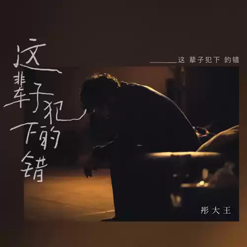 彤大王 - 这辈子犯下的错